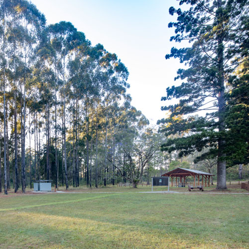 Coopernook State Forest