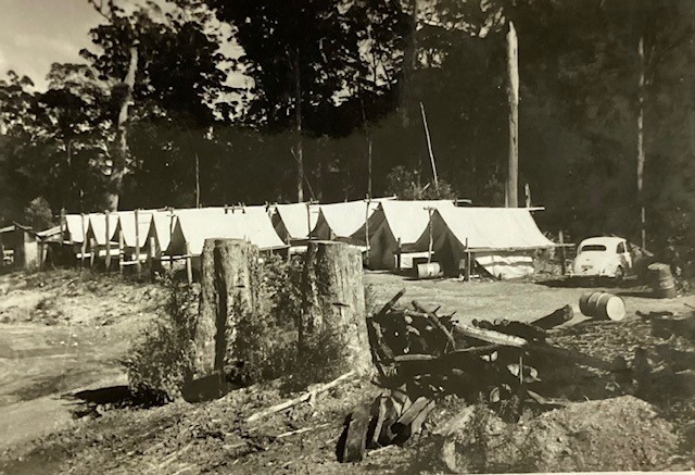 A NSW Forestry Commission campsite