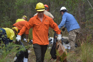 2026 Clean Up Australia Day CUA event in Broken Bago State Forest