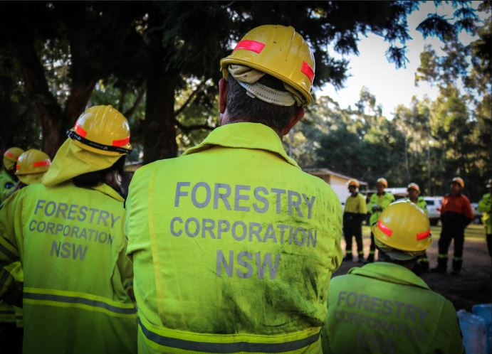 Solid fuel fire bans will reduce bushfire risk.