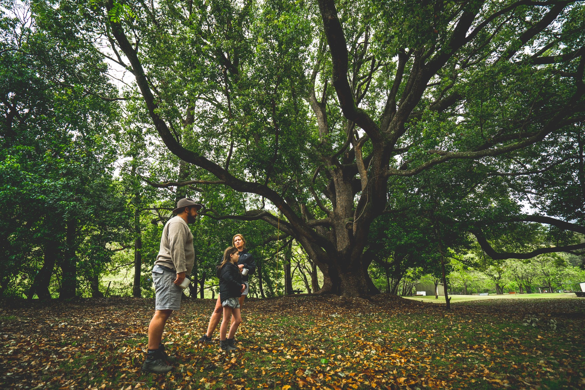 Man and children standing near large tree