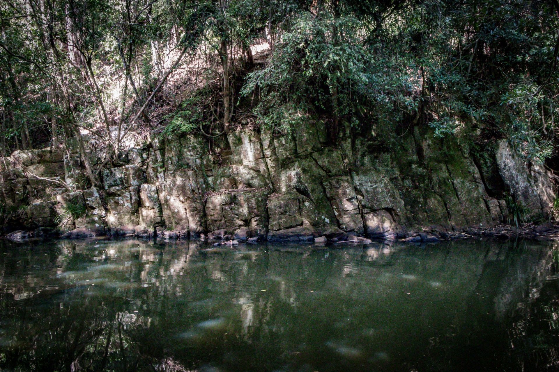 Upsalls creek on The Gorge Walking Track