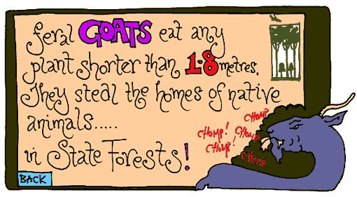 goats cartoon2