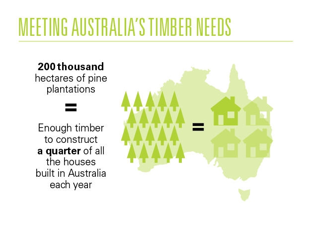 Meeting Australia's timber needs