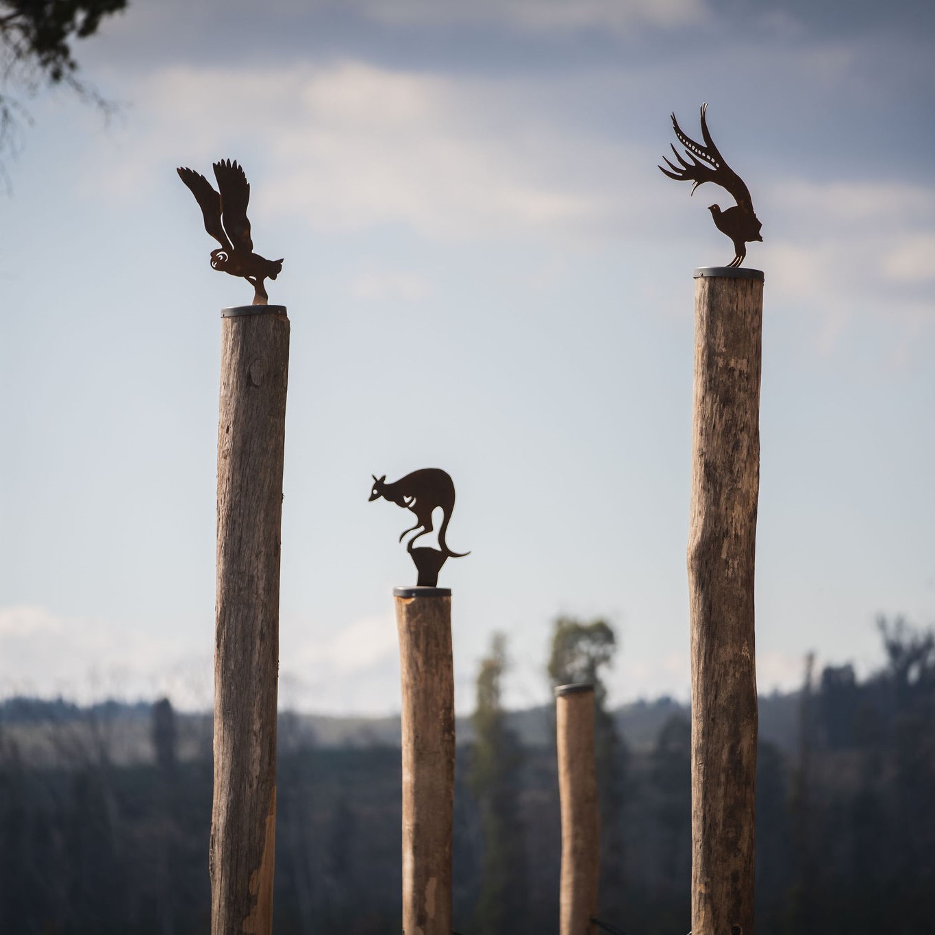 Forest sculpture - poles