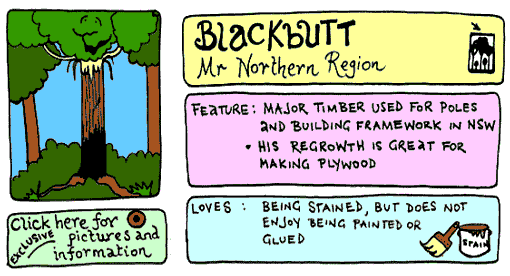 blackbutt cartoon