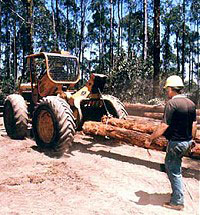 Skidder