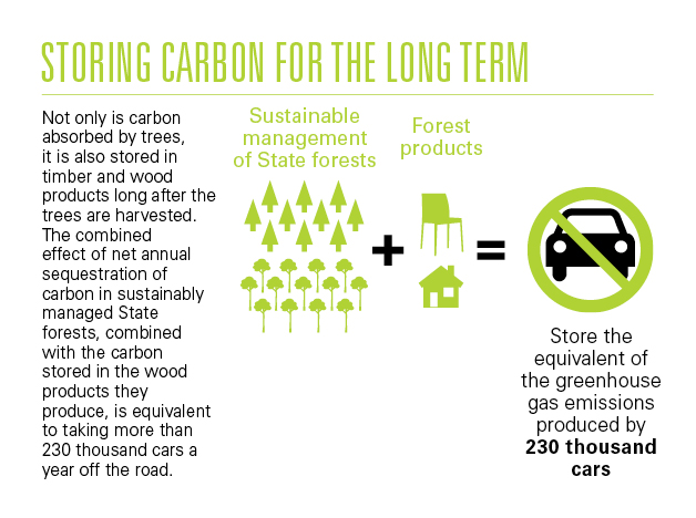 Carbon storage