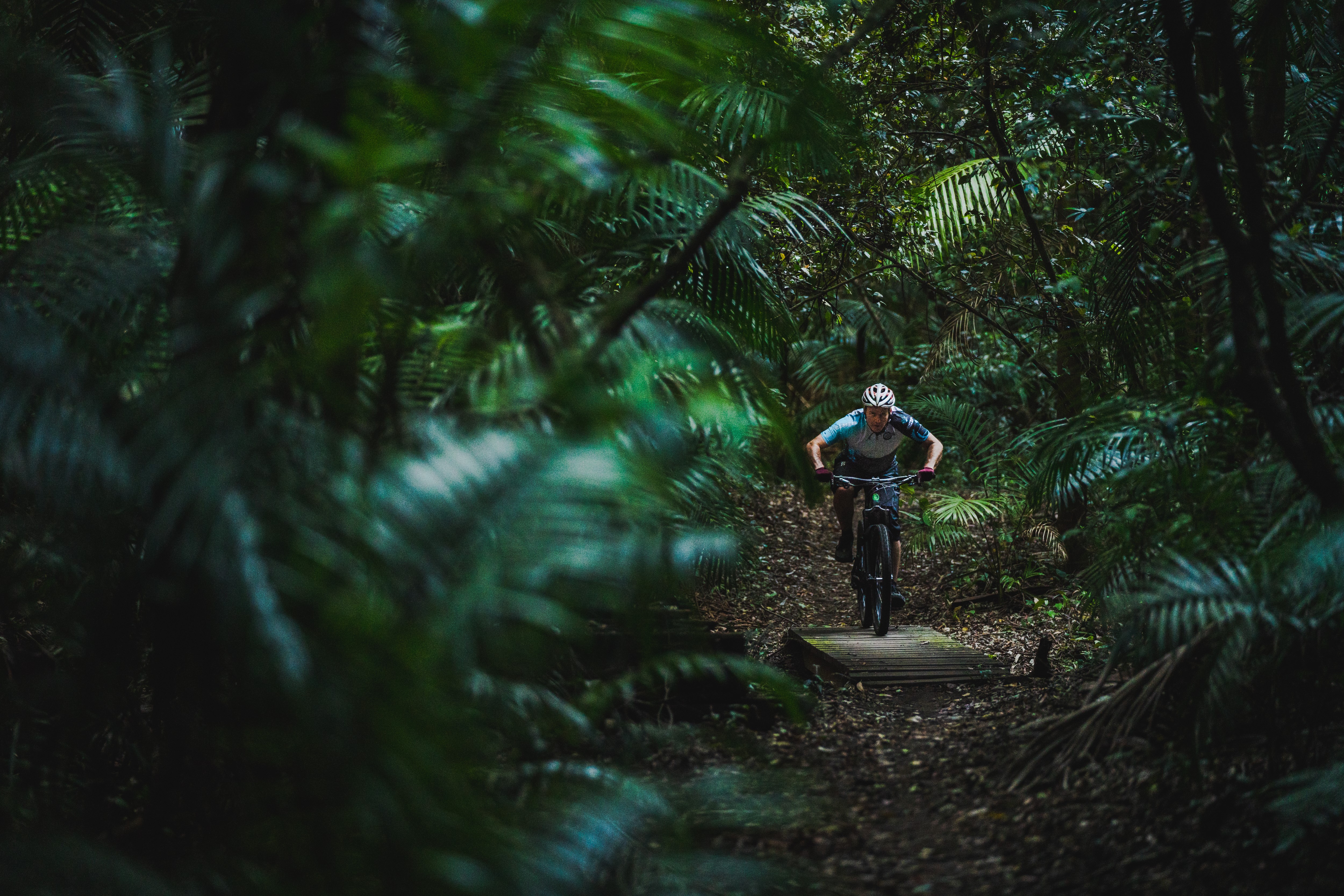 Mountain Biking in Ourimbah State Forest