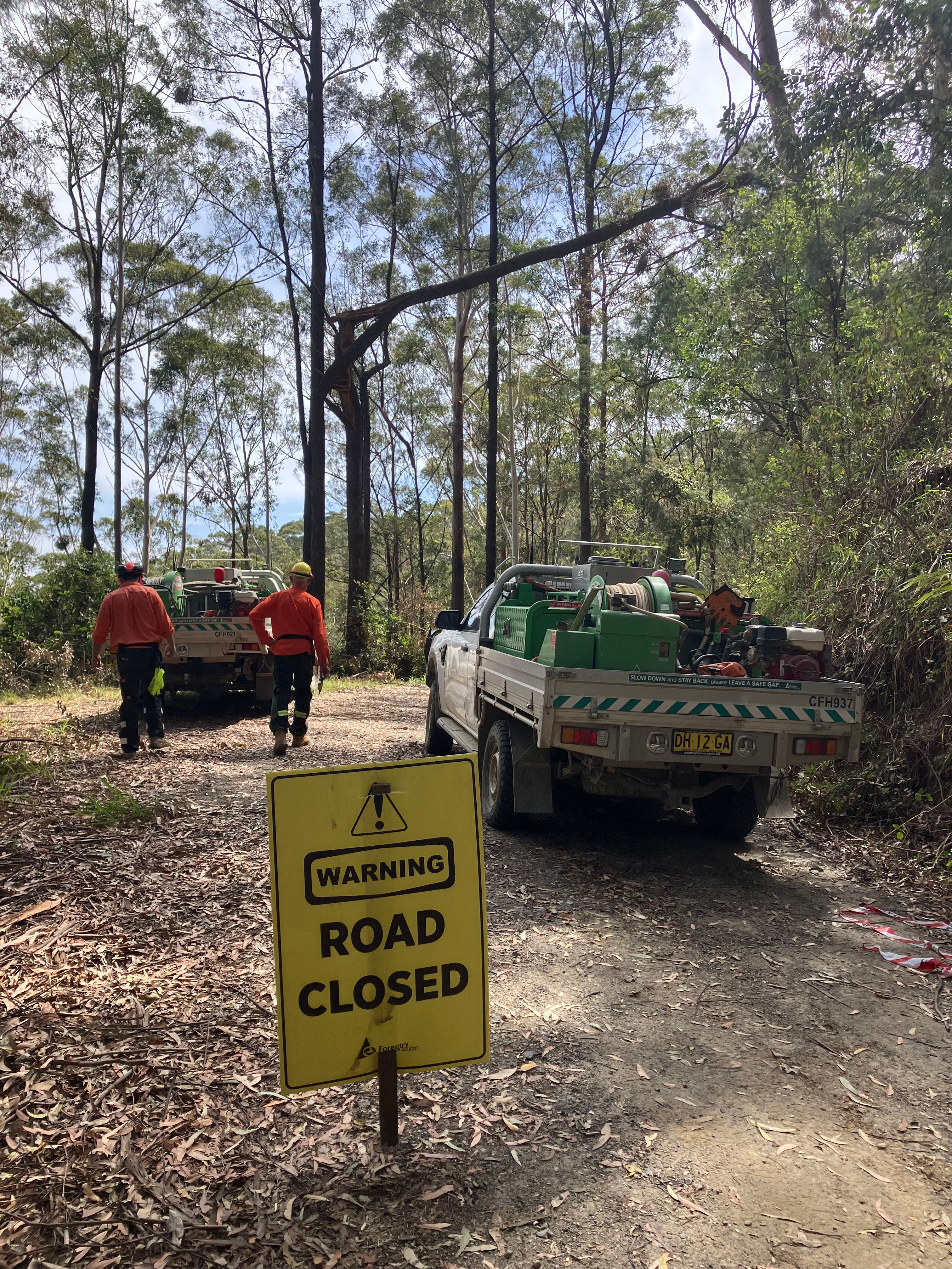 Newry State Forest closure