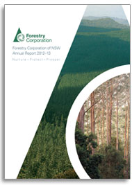 Forestry Corporation annual report cover