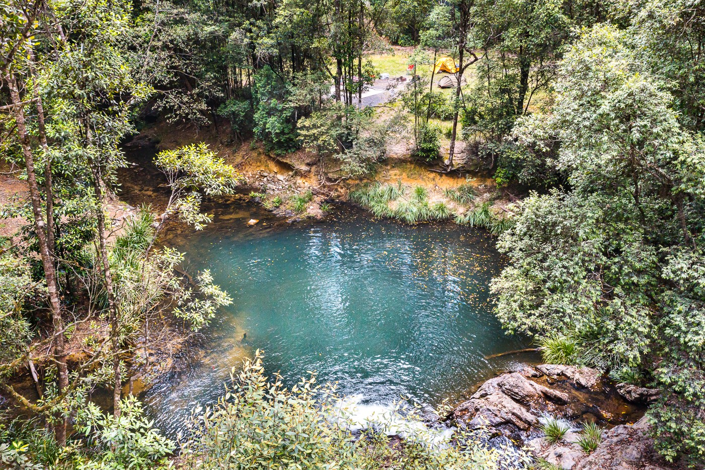 Mobong creek in Wild cattle State Forest