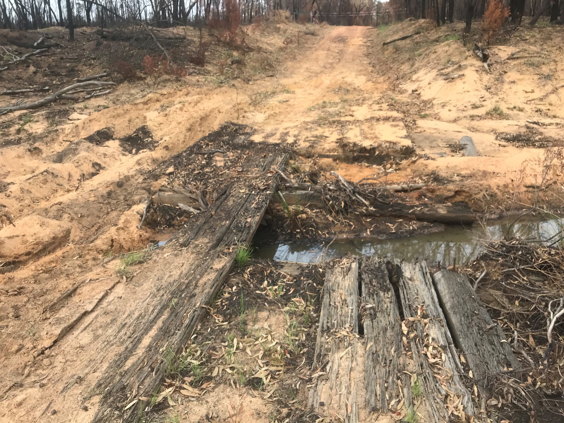 Duck Creek Fire damage