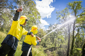Staff and First Nations community with hose in forest