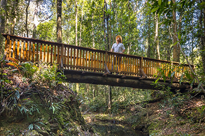 Wild cattle creek bridge