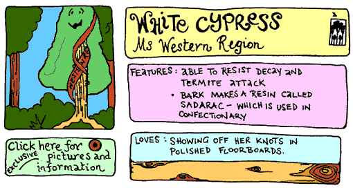 white cypress cartoon