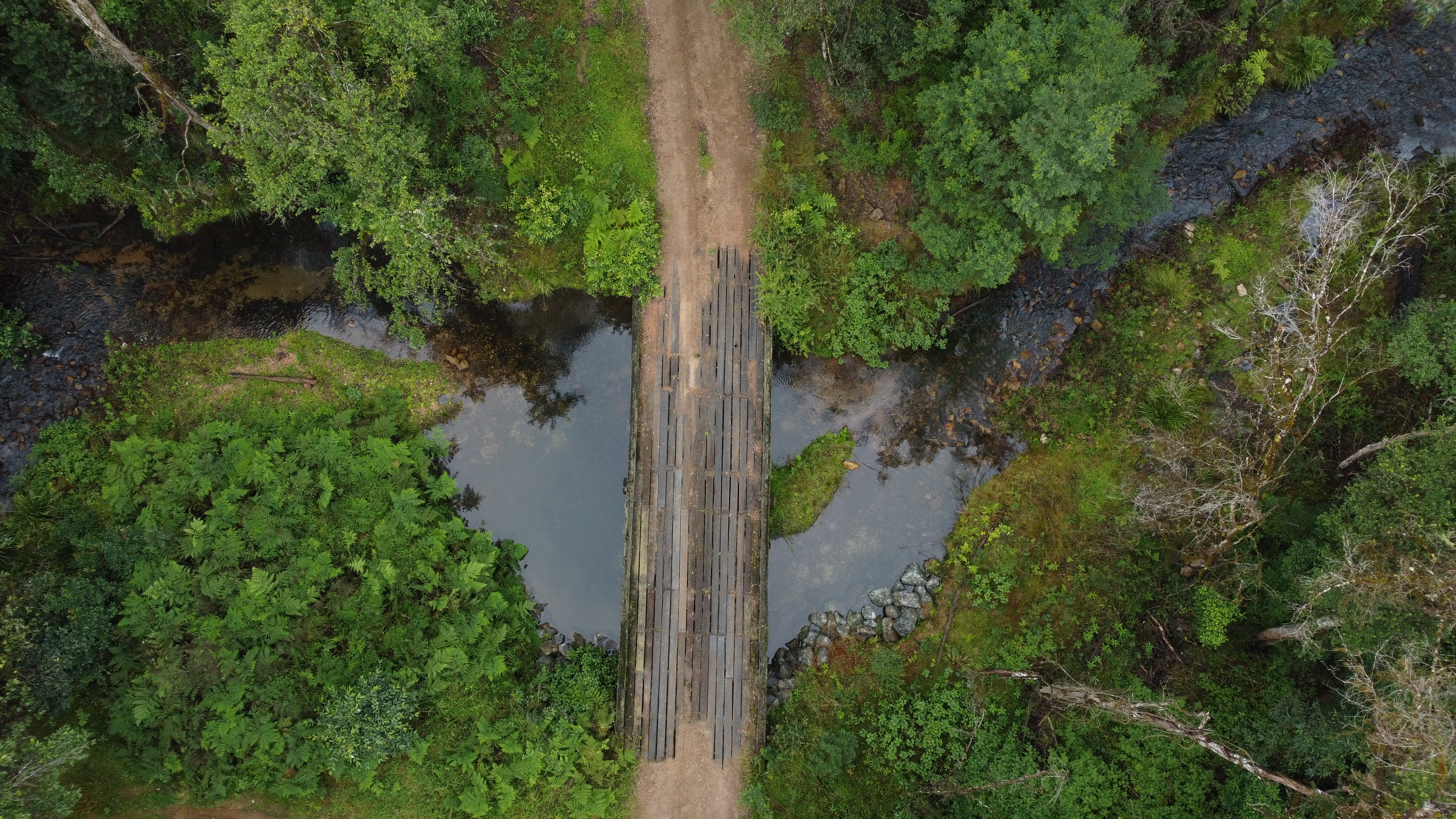 Blue Mt Ck Rd Bulga.JPG