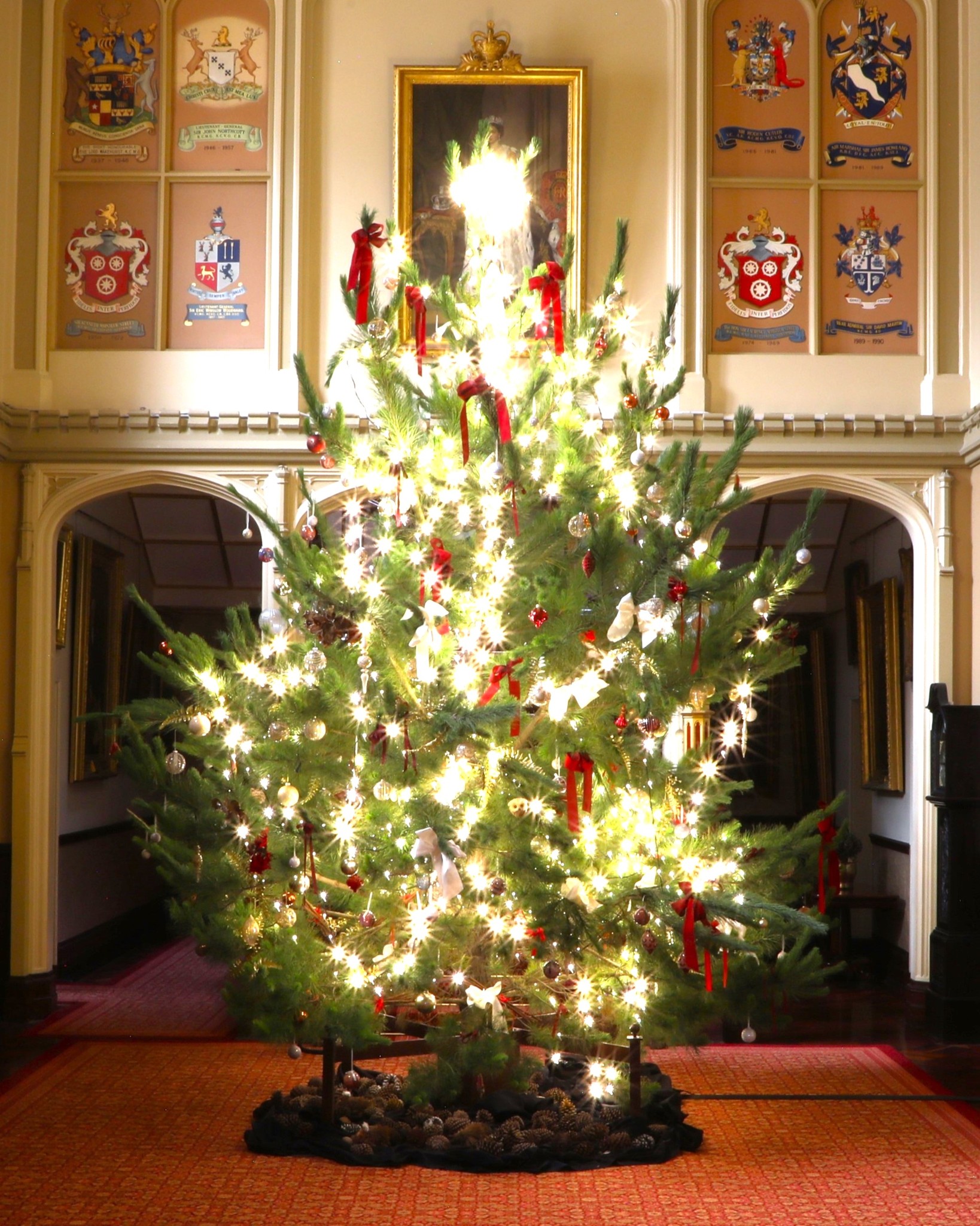 Govt House Christmas Tree 2024
