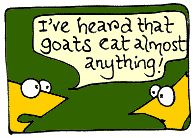 goat-next
